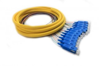 FIB Distribution Pigtail 12 Fiber Singlemode SC/UPC Blue Boots 3 Meters