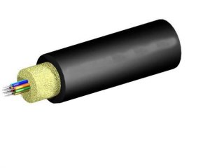 TLC 12 Fiber MM 50um OM4 Gel Free Indoor/Outdoor Fiber Optic Cable, Riser, Black