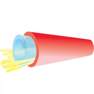 TLC Furcation Tube 2mm Red TLC Furcation Tube 2mm Red