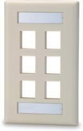 6 Port Single Gang Keystone Faceplate w/ Labeling Windows