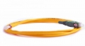FIB SC/APC Goldtip Pigtail-Singlemode 9/125um-1 Meter FIB SC/APC Goldtip Pigtail-Singlemode 9/125um-1 Meter